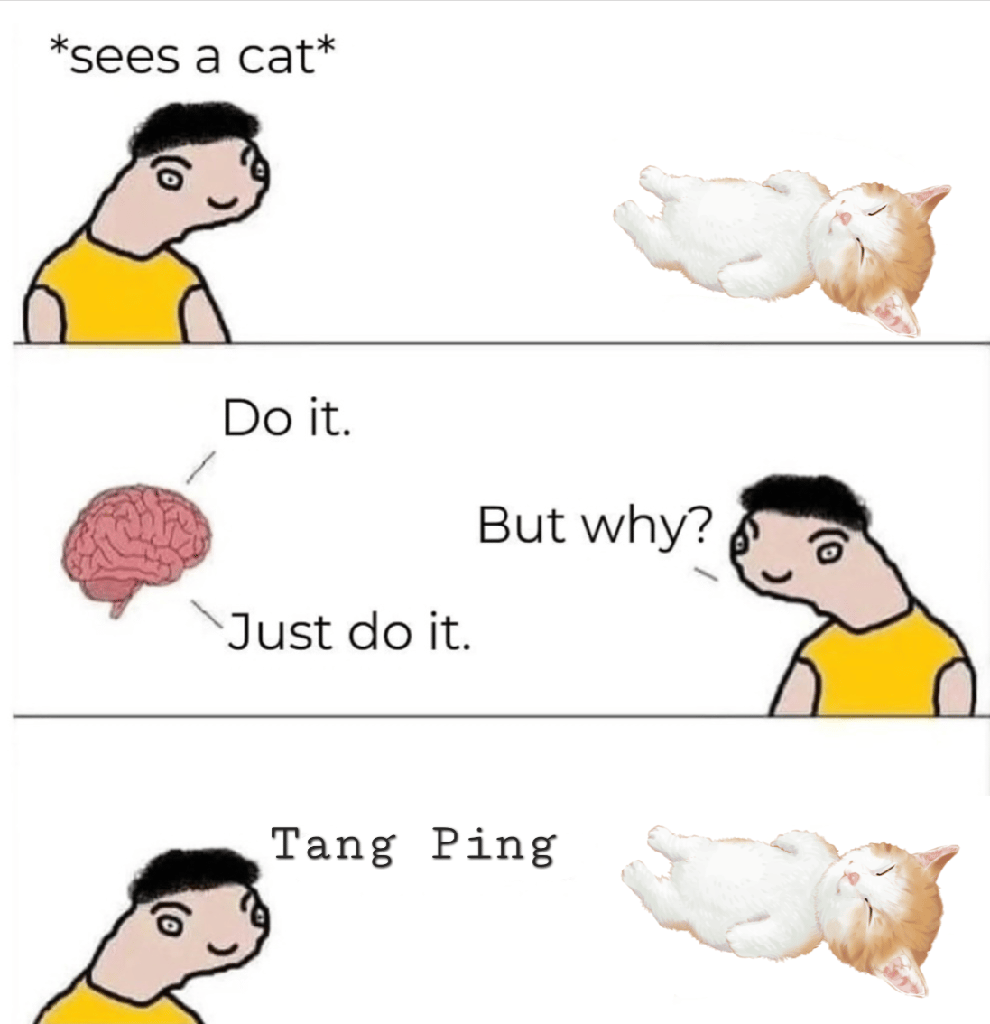 Tang ping think