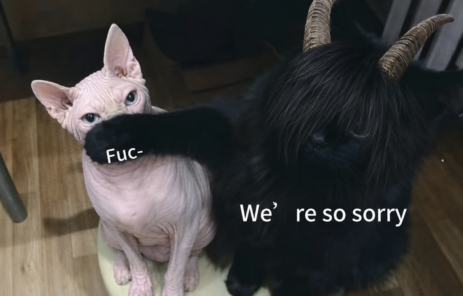 sorry.png