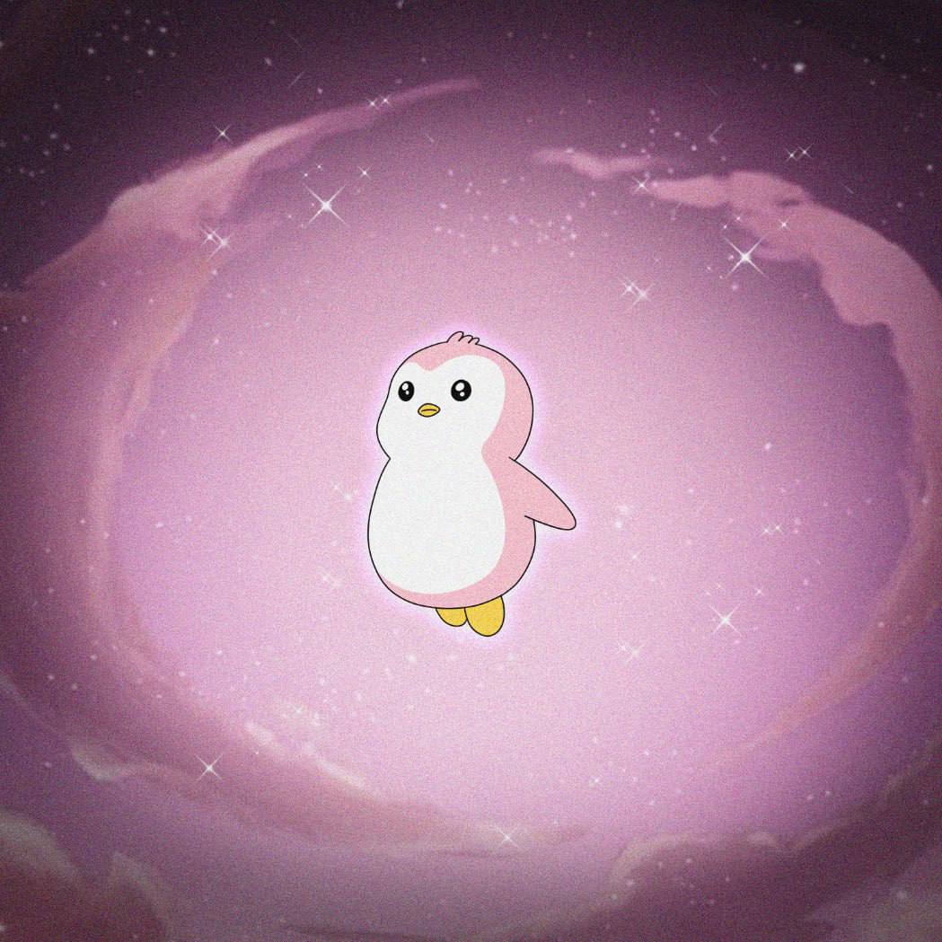 photo_2025-06-05 13.34.48.jpeg