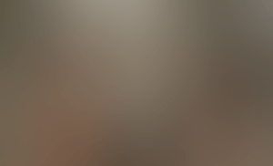 image026.gif
