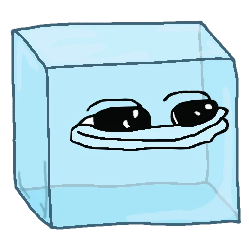 IMG_9455.png