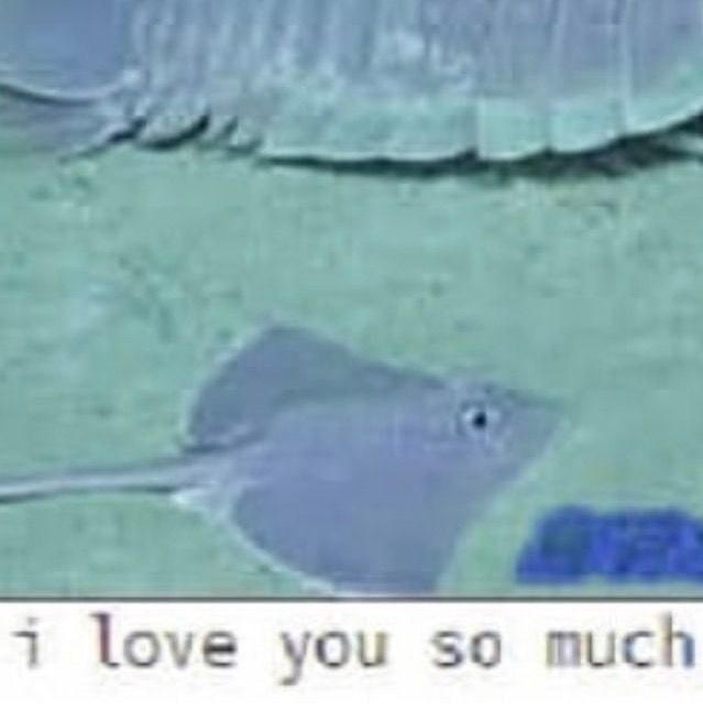 i love you so much.jpg