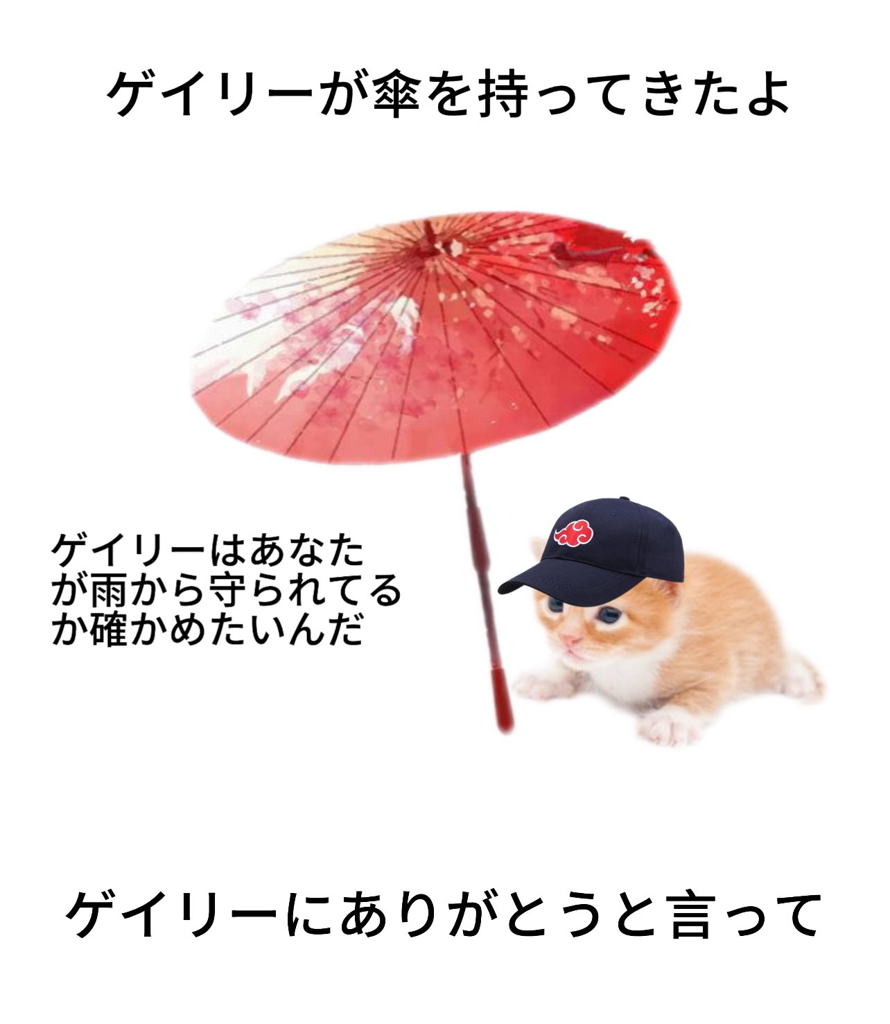 gary catbrella.jpg