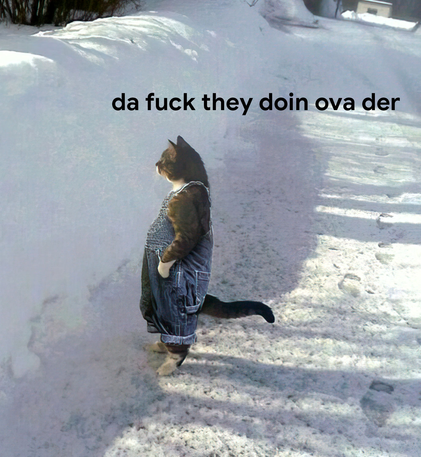 da fuck they doin ova der.jpg