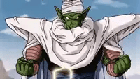 dragon-ball-z-charge.webp