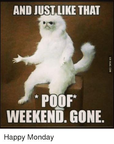 happy monday.JPG