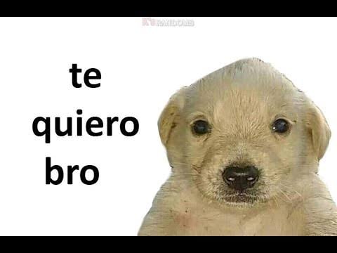 IMG_3897.jpeg