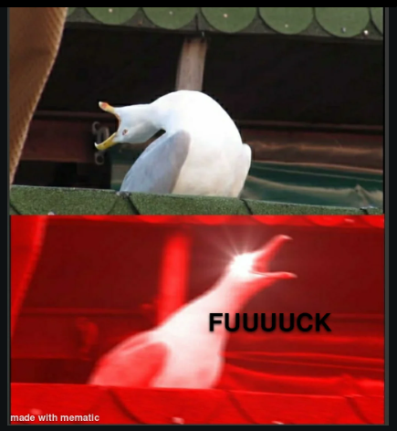 seagull down bad fuck.png