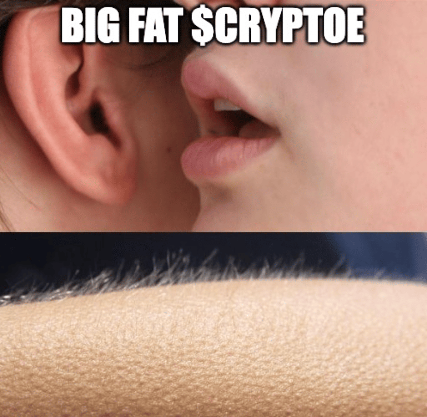 $CRYPTOE CHILLS.png.png