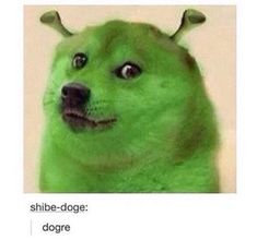 dogre.jpg