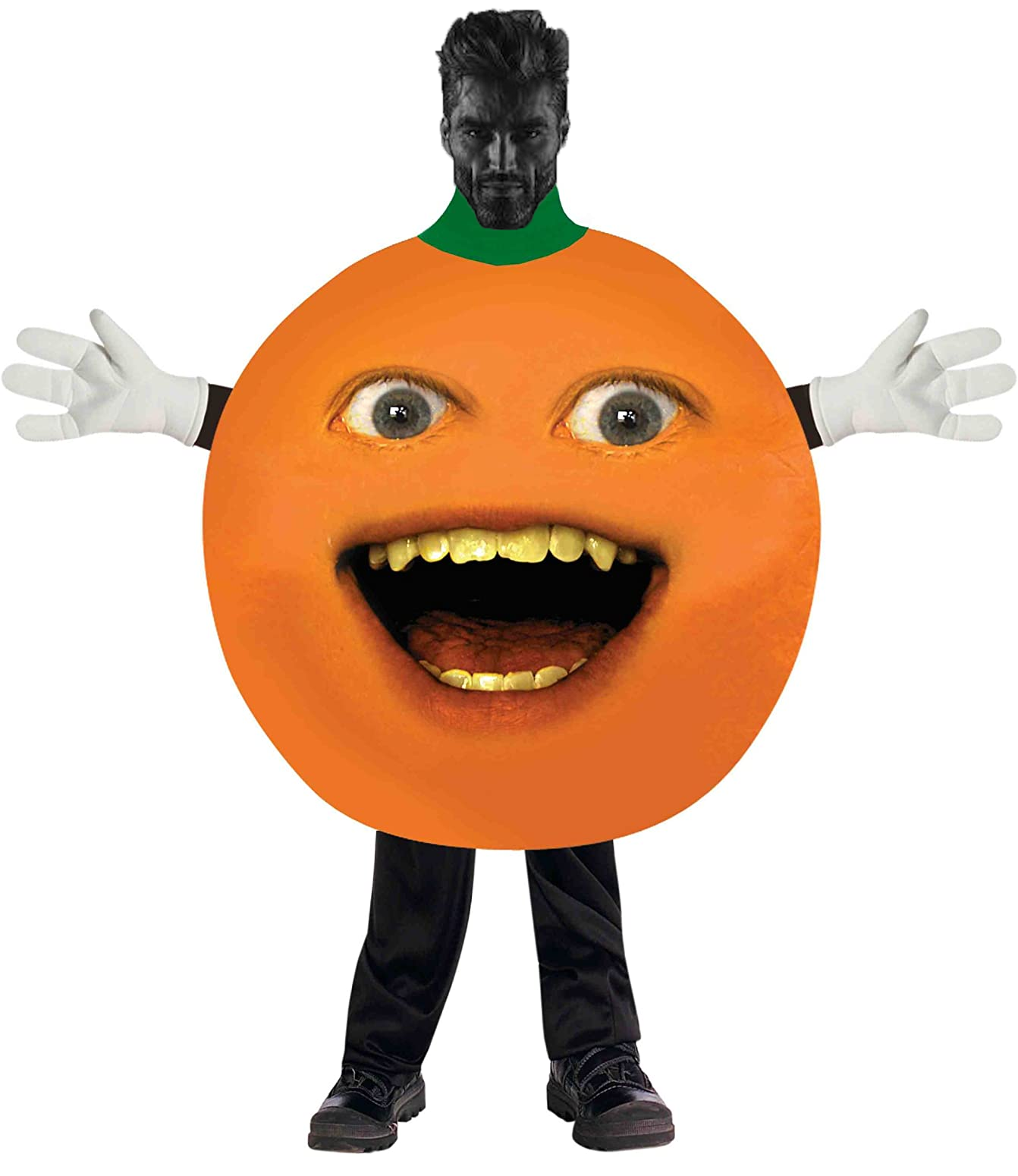 1000009191.png