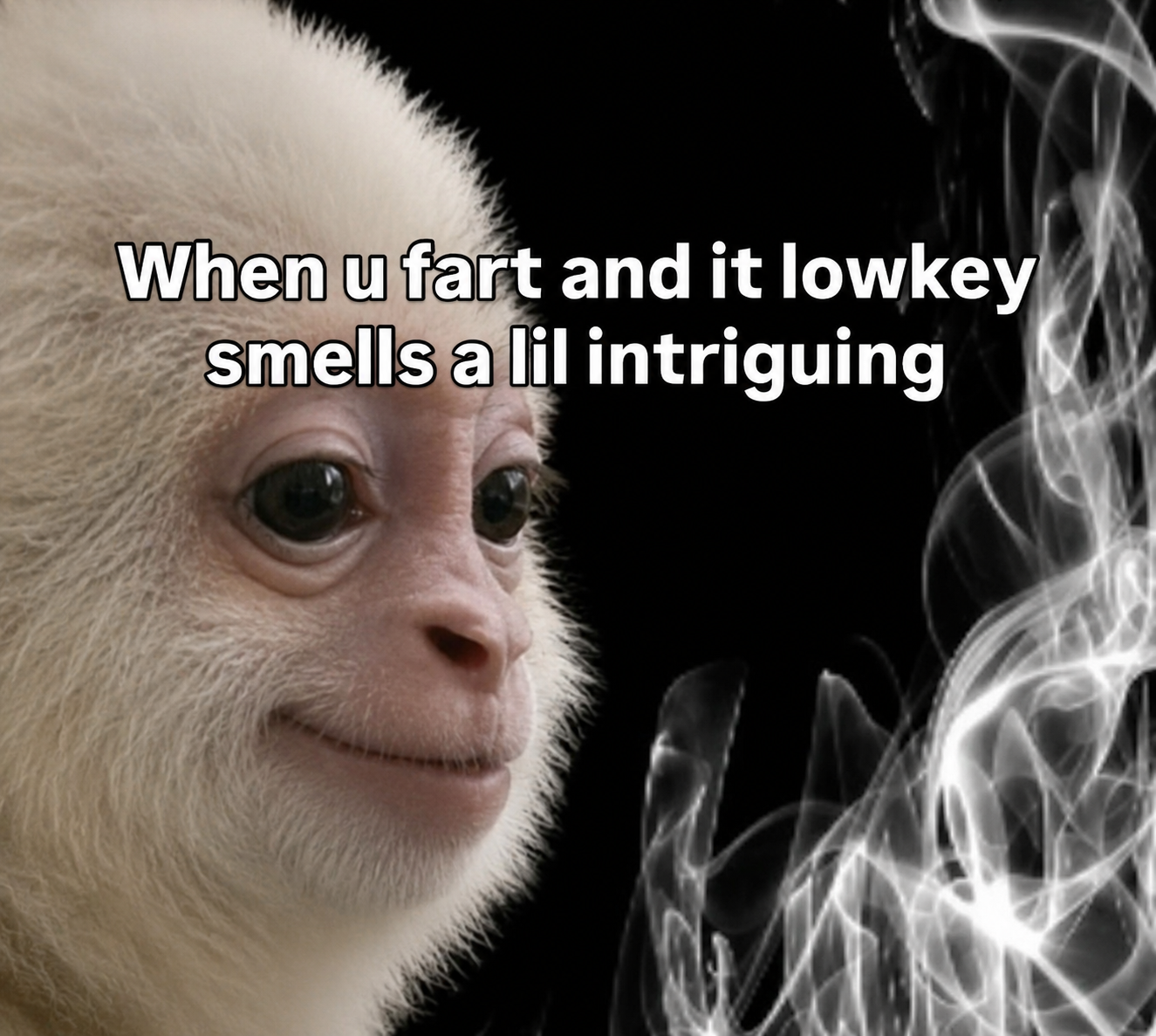 C7828BD8-8A6D-458D-800E-E320CA83776A.png
