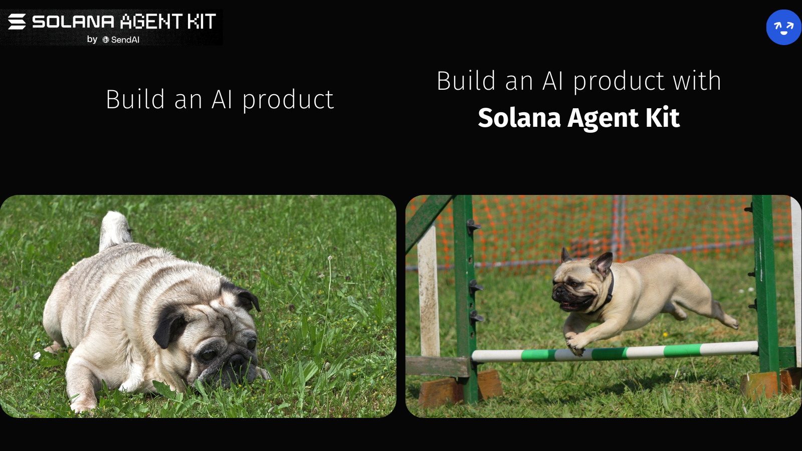 Solana Agent Kit meme.png