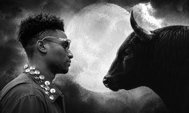 Two Bulls