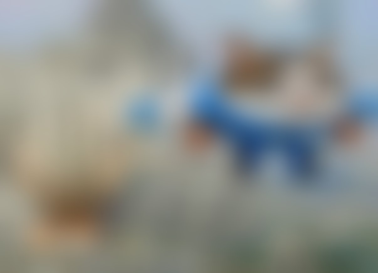 IMG_8768.jpeg
