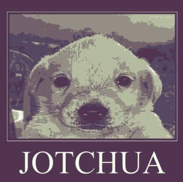 IMG_3894.jpeg