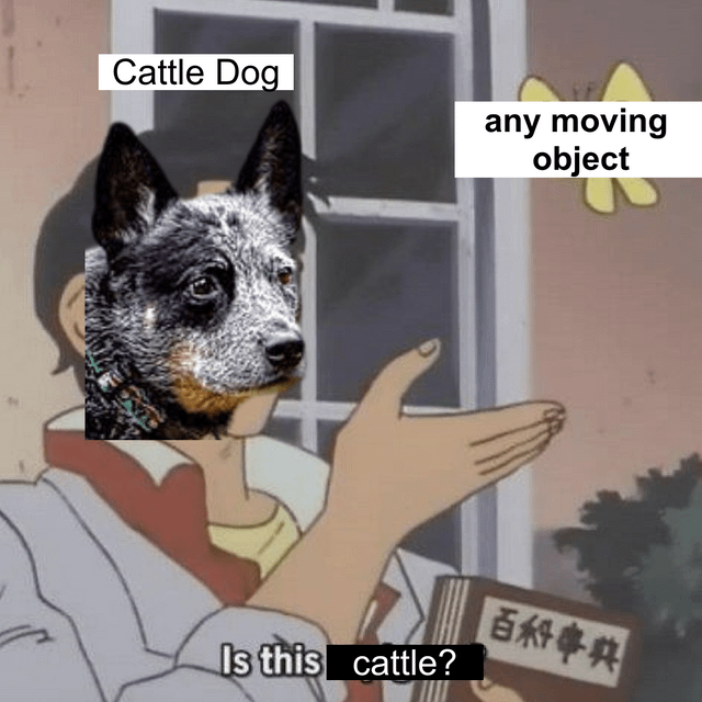 4z4xnf0f988b1.png