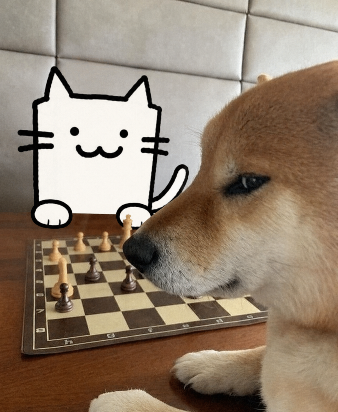 1000041613.png