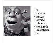 everyhing about shrek.jpg
