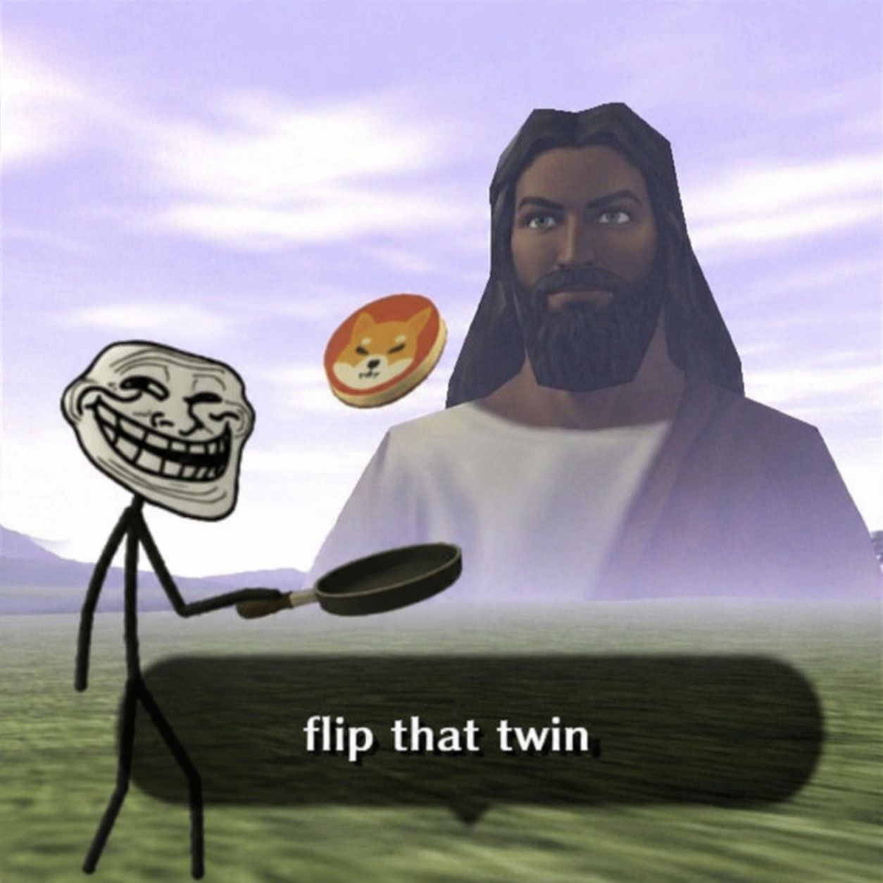 flip that twin