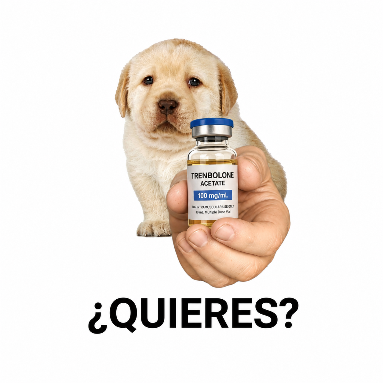 66095845-B844-4EFB-A3B5-769AD0F6E021.png