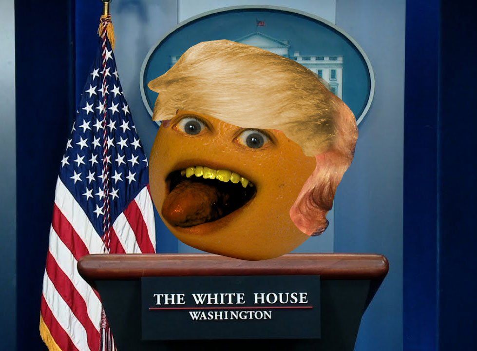 1000009224.jpg
