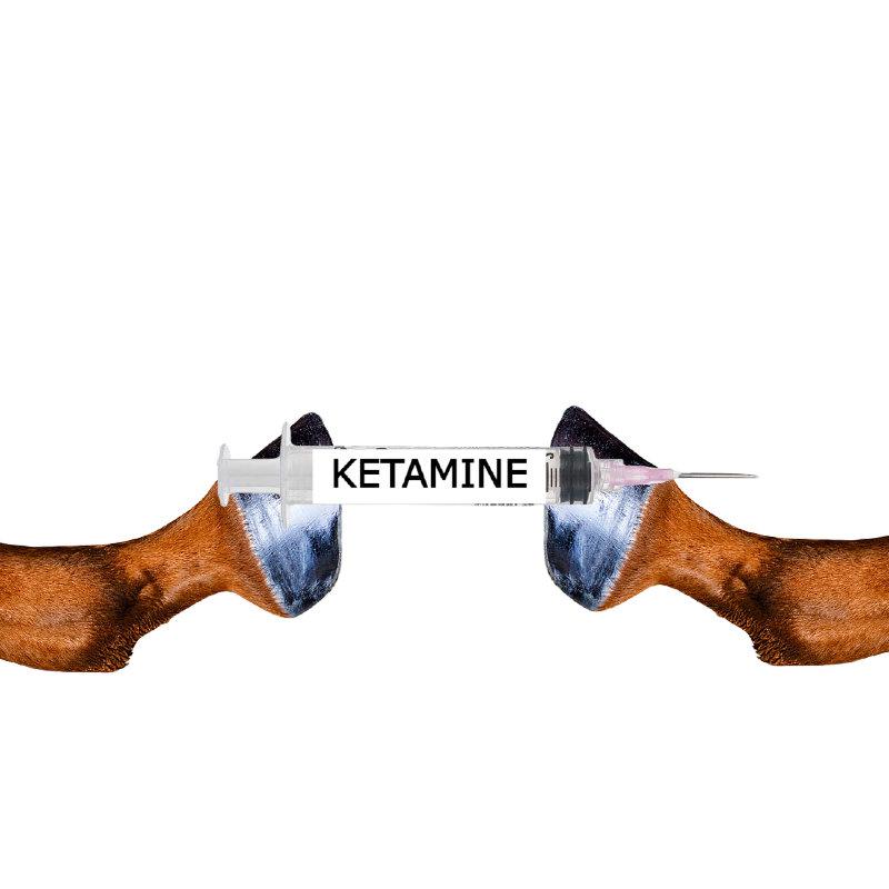 Holding_ket.png