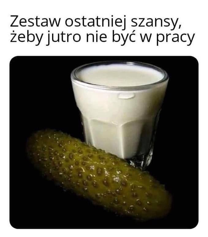 Best Polish Memes (1120).jpg