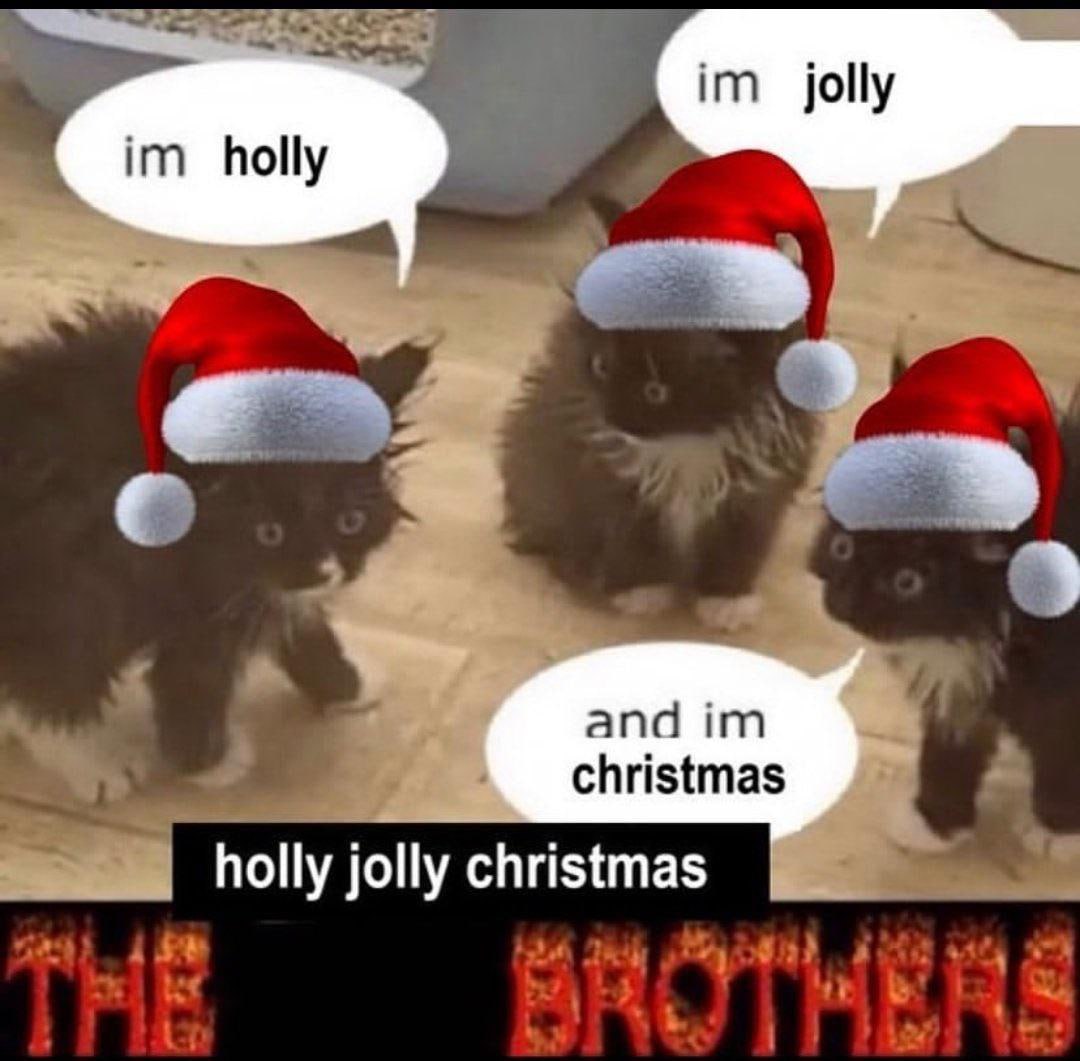 holly jolly cat meme.jpg