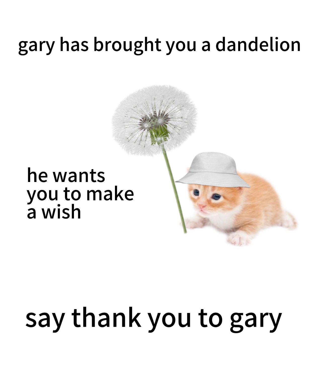 gary dandelion.jpg