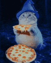 pizza cat.gif