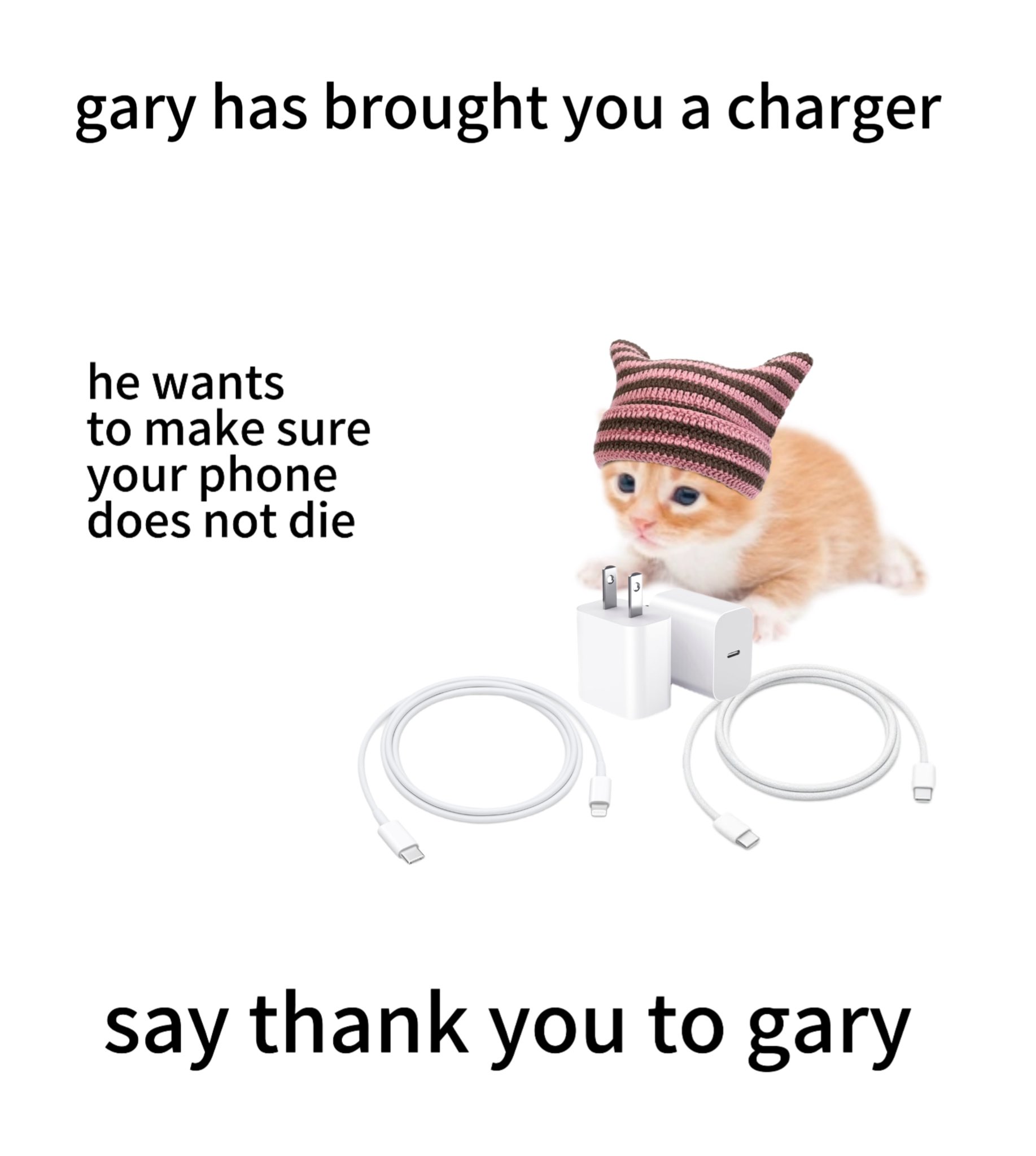 charger.jpg