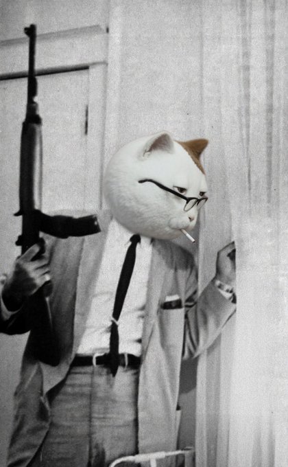 HOIoI_1XEAApa4U.jpg