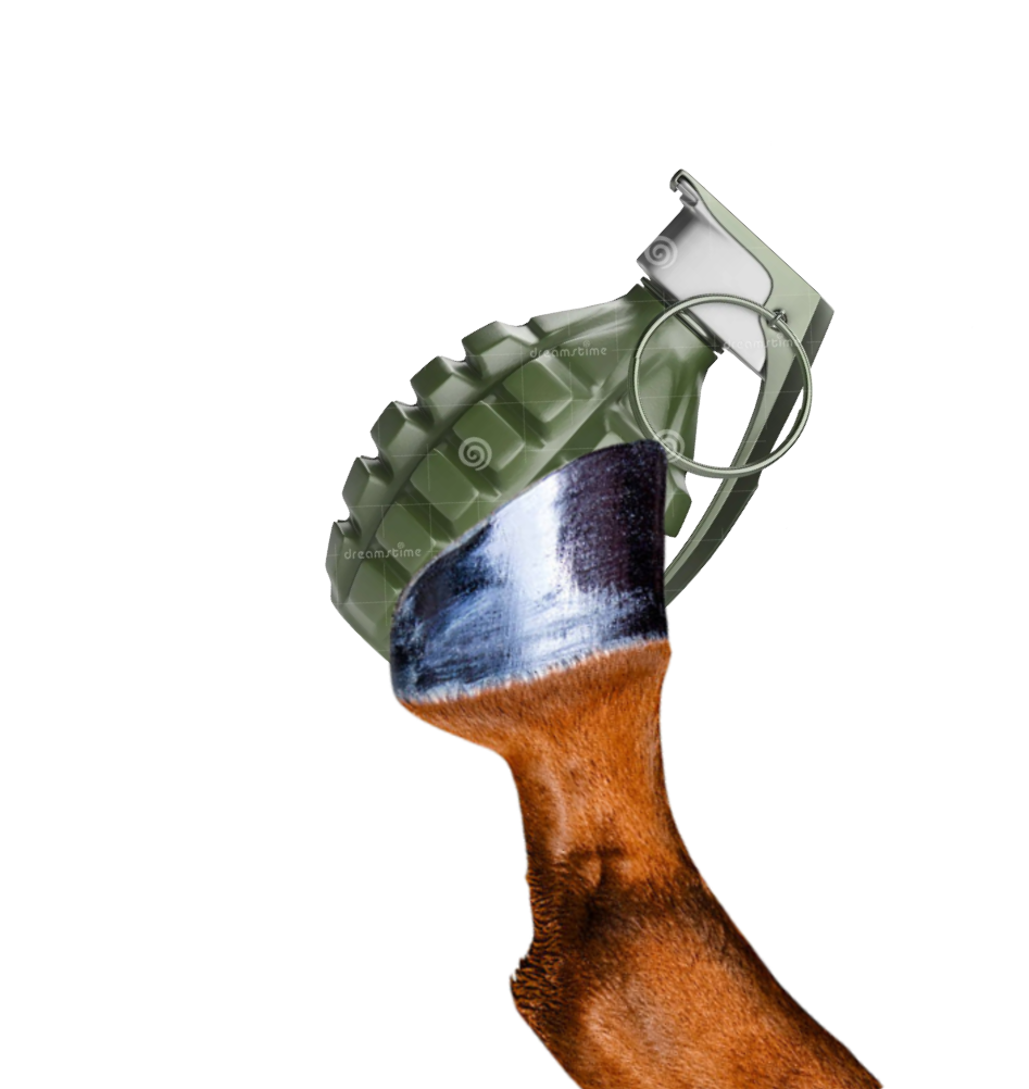 holding_grenade.png