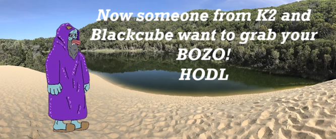 hodl bo.png
