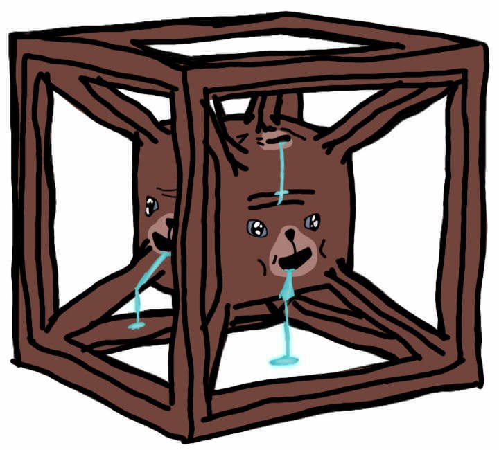 photo_2025-12-12 23.42.36.jpeg