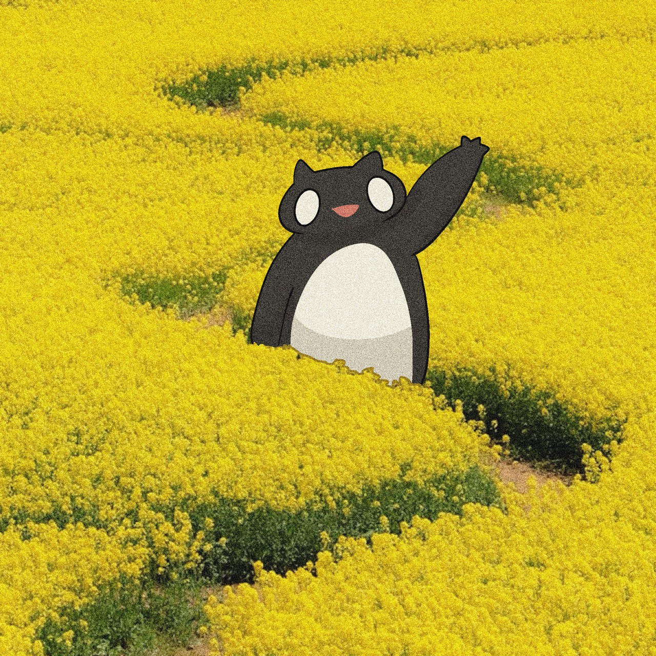 2024-12-02 14.40.56.jpg