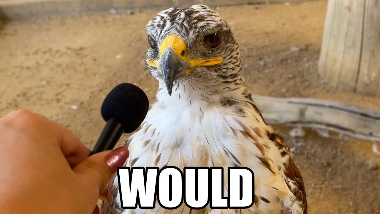 3c5.jpeg