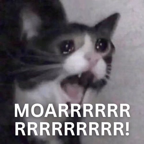 MOARRRRRRRRRRRRRR!.png