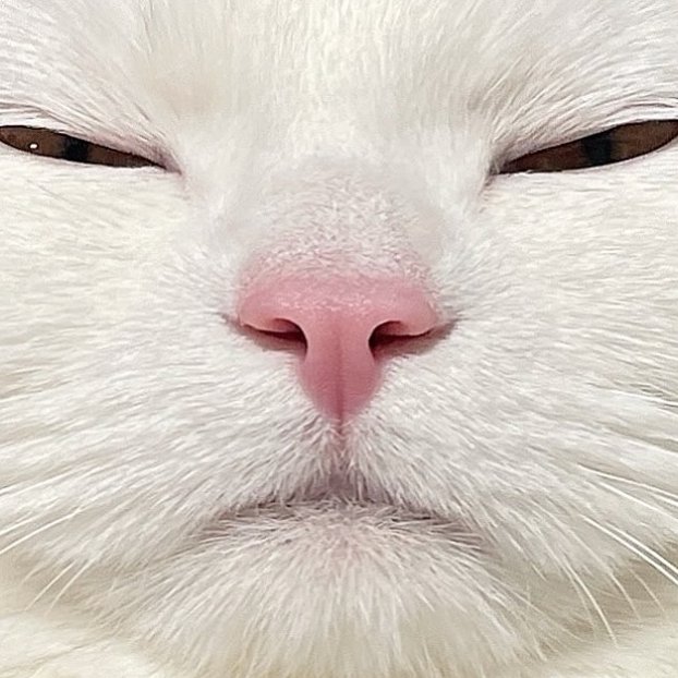 no pink sky https://t.co/THxnGtM4Mp