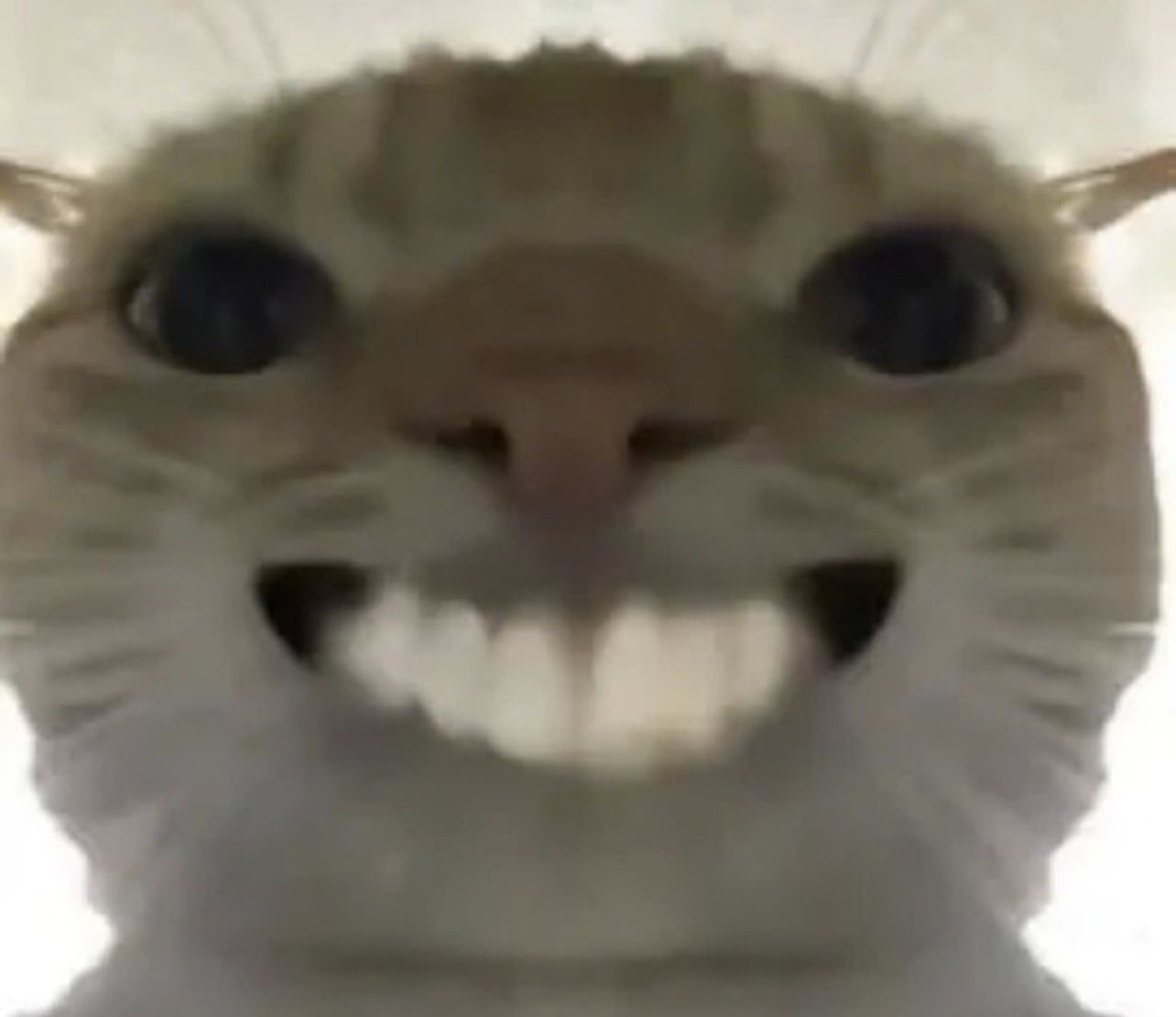 HOU0vT2XsAAXcqW.jpeg
