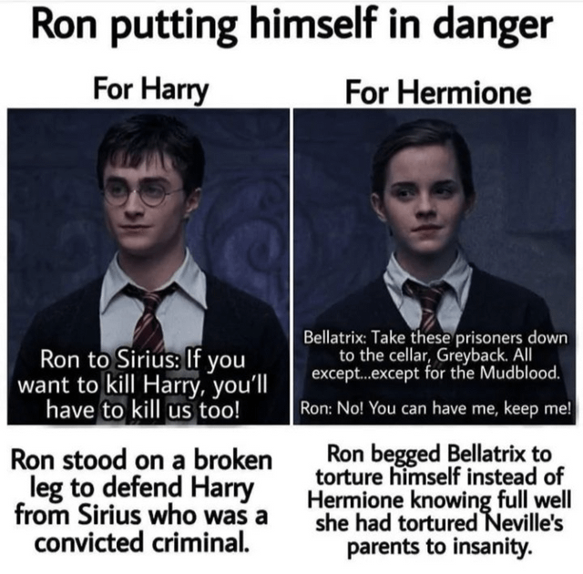 im-still-salty-that-we-didnt-see-this-side-of-ron-in-movies-v0-toi9ovrm5d6a1.png