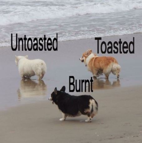 toasted dogs.JPG