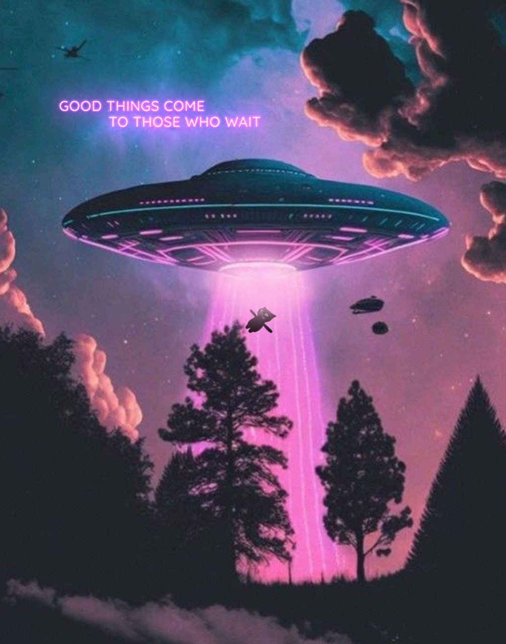1000009091.jpg