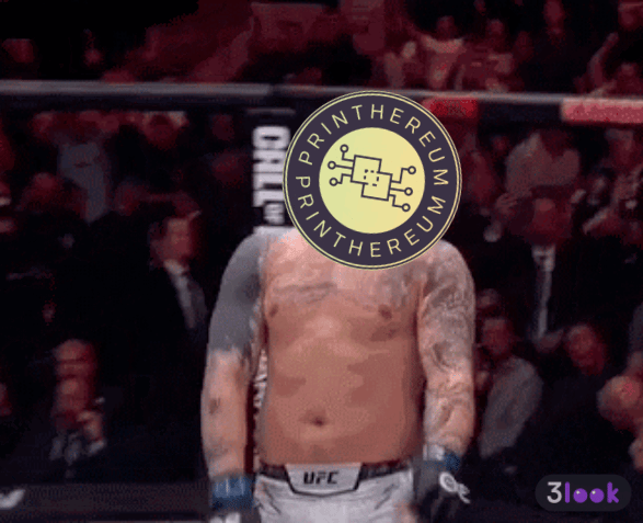 v-other-mixed-martial-arts-sport3.gif