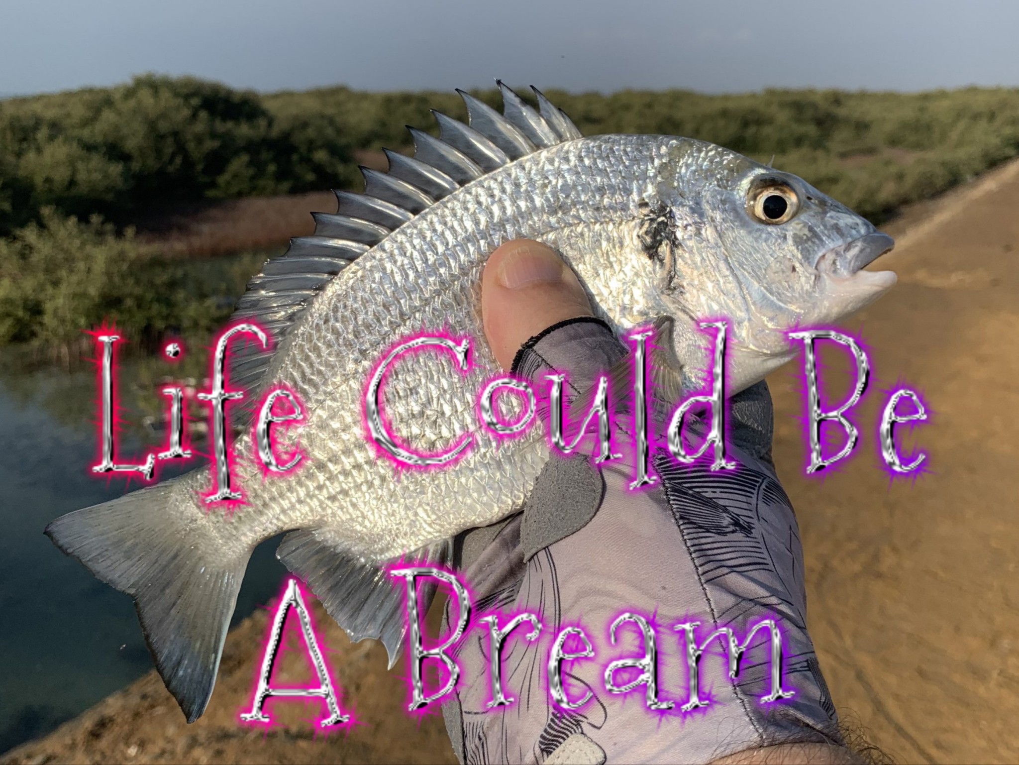 life is a beam 2.jpg