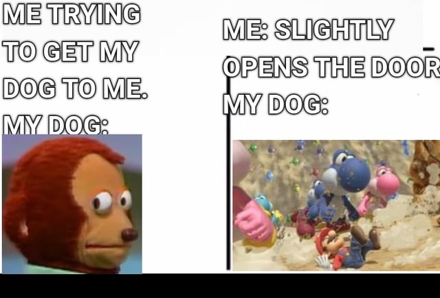 dogs-be-like-v0-ctgear6l3sab1.jpg