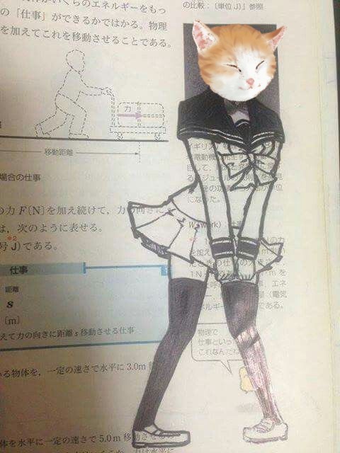 Tang ping cat drawings