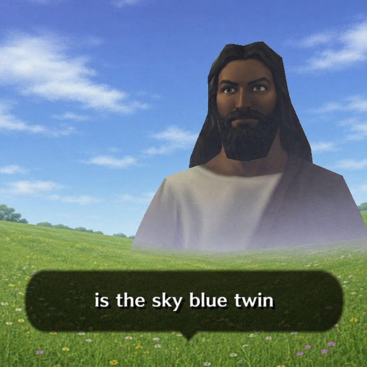 is the sky blue twin