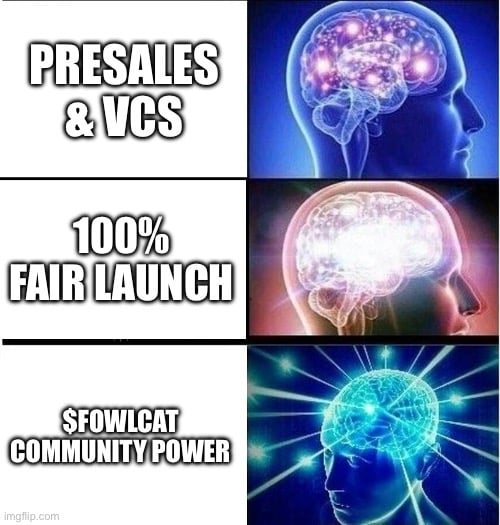 FOWLCAT Expanding Brain meme.JPG